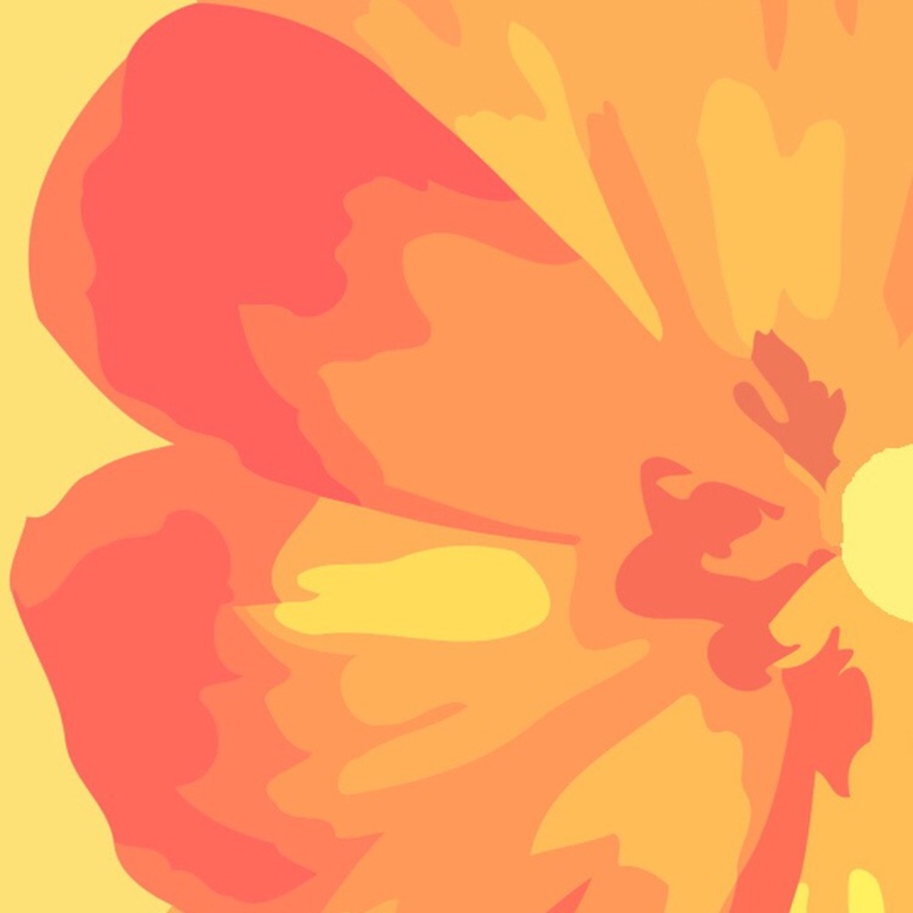 Meet your Posher, Dawn